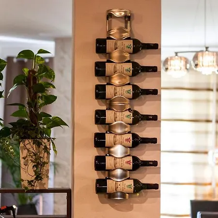 Centrum With Free Parking מלון ניטרה