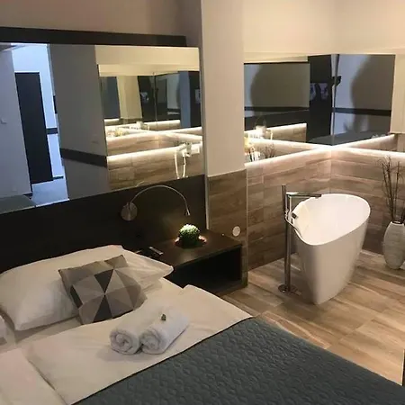 Centrum With Free Parking מלון ניטרה